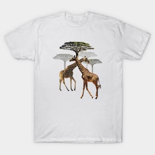 Giraffes with trees in Kenya / Africa T-Shirt